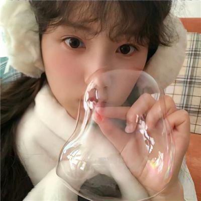 雌雄双谍
