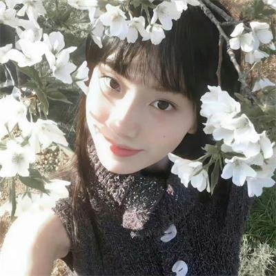 新富贵荣华